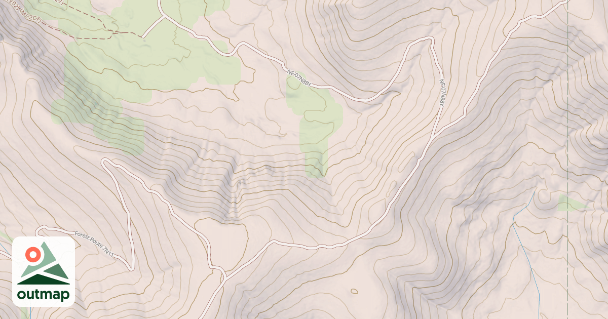 Map of USFS National Forest System Roads {3F42B1D6-DC9E-4D3F-818E-61AB80A559DB}