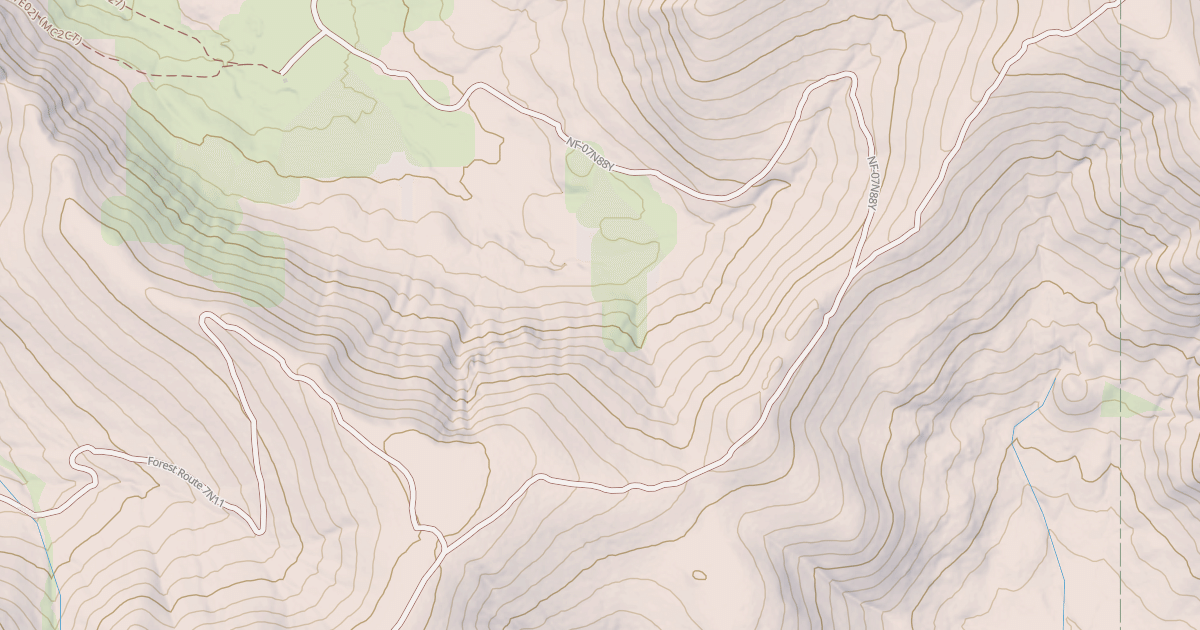 Map preview of USFS National Forest System Roads {3F42B1D6-DC9E-4D3F-818E-61AB80A559DB}