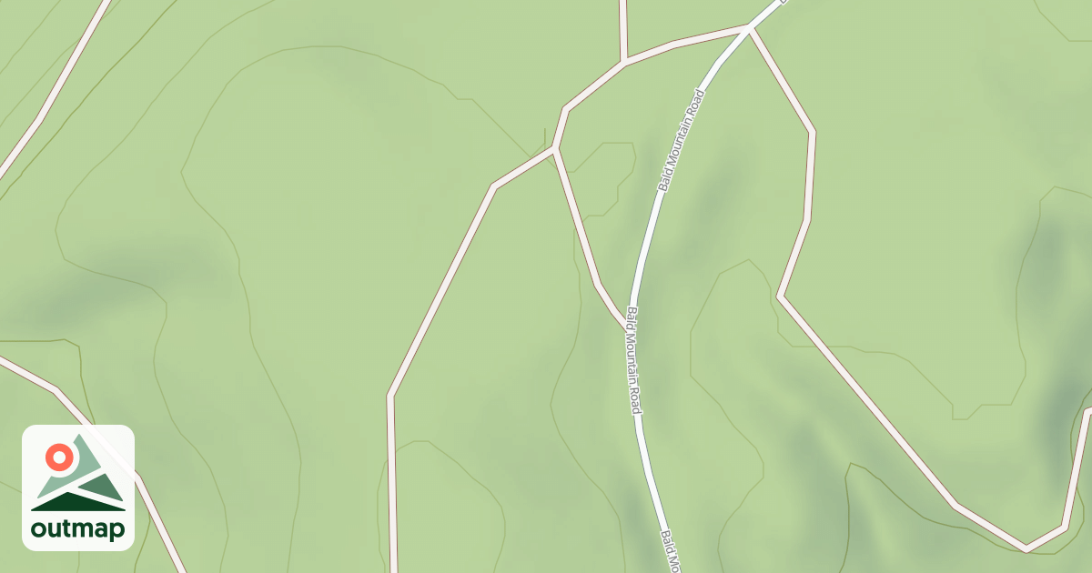 Map of Mutant Ferns