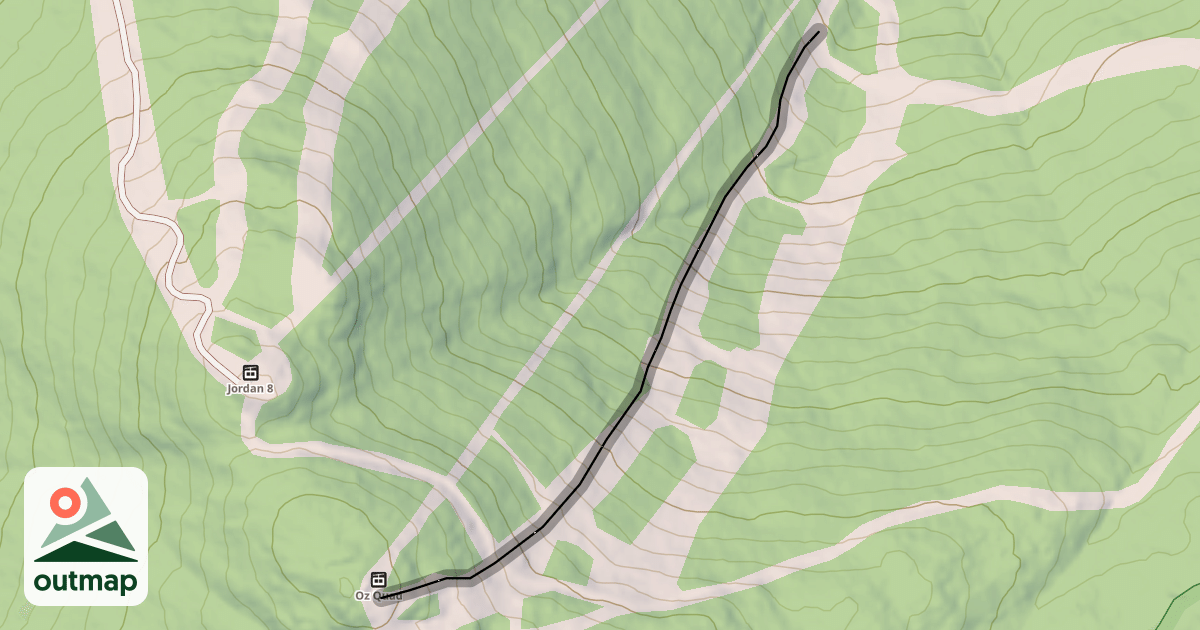Map of Tin Woodsman