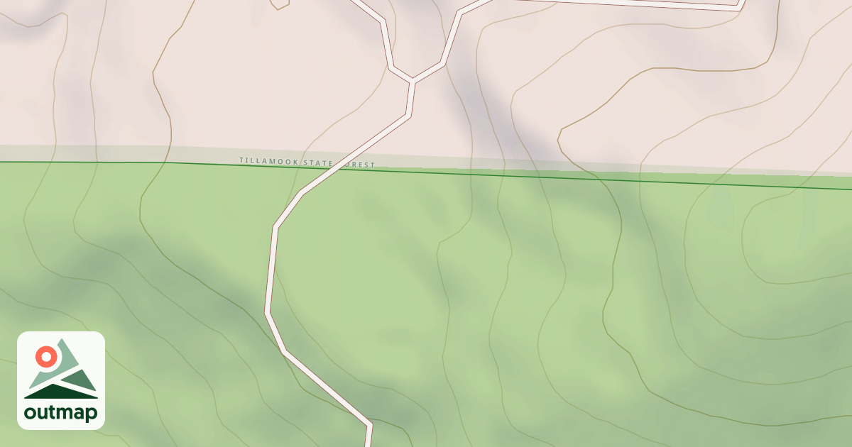 Map of Mutant Ferns
