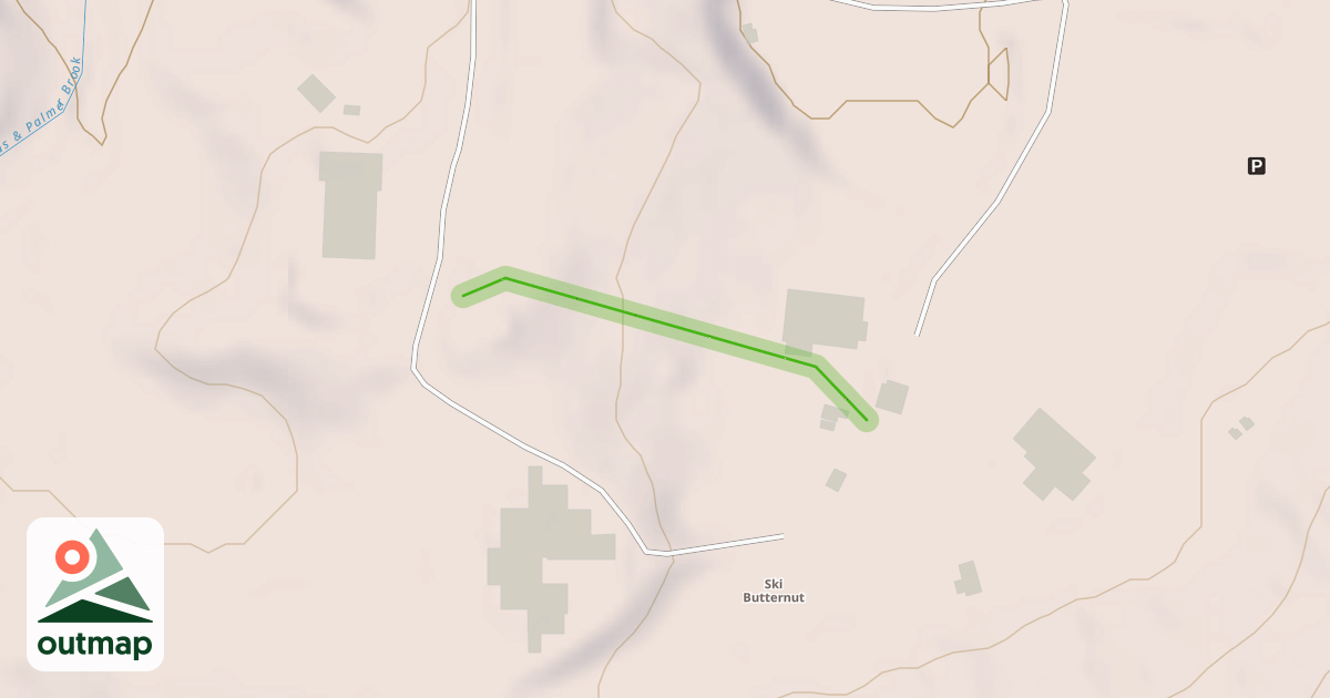 Map of Paddy's