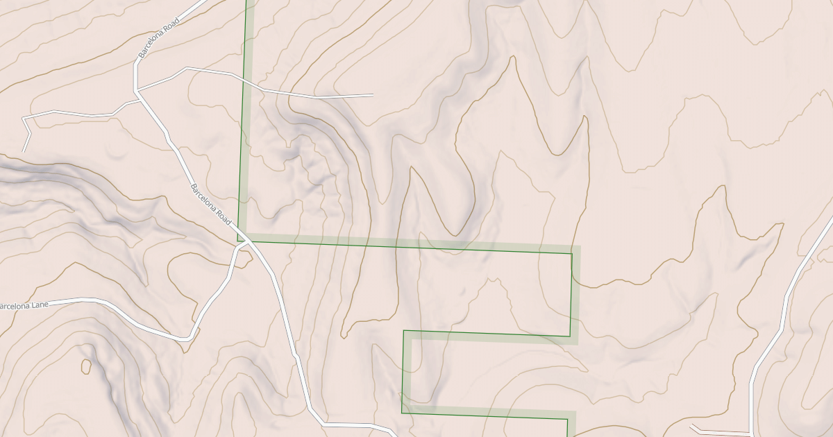 Map preview of USFS National Forest System Roads {51E10BC7-71DF-4E40-A683-69FE51FB6A3B}