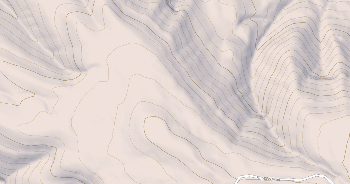 Map preview of USFS National Forest System Roads {049E54B8-80C8-4FBD-9004-693626AD451B}