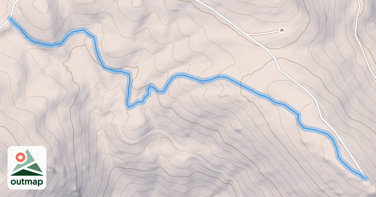 Map of Wonderpup