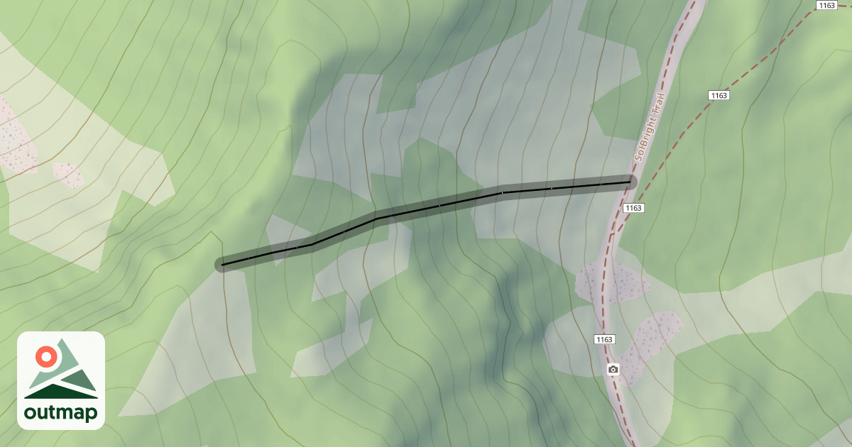 Map of Dead Tree