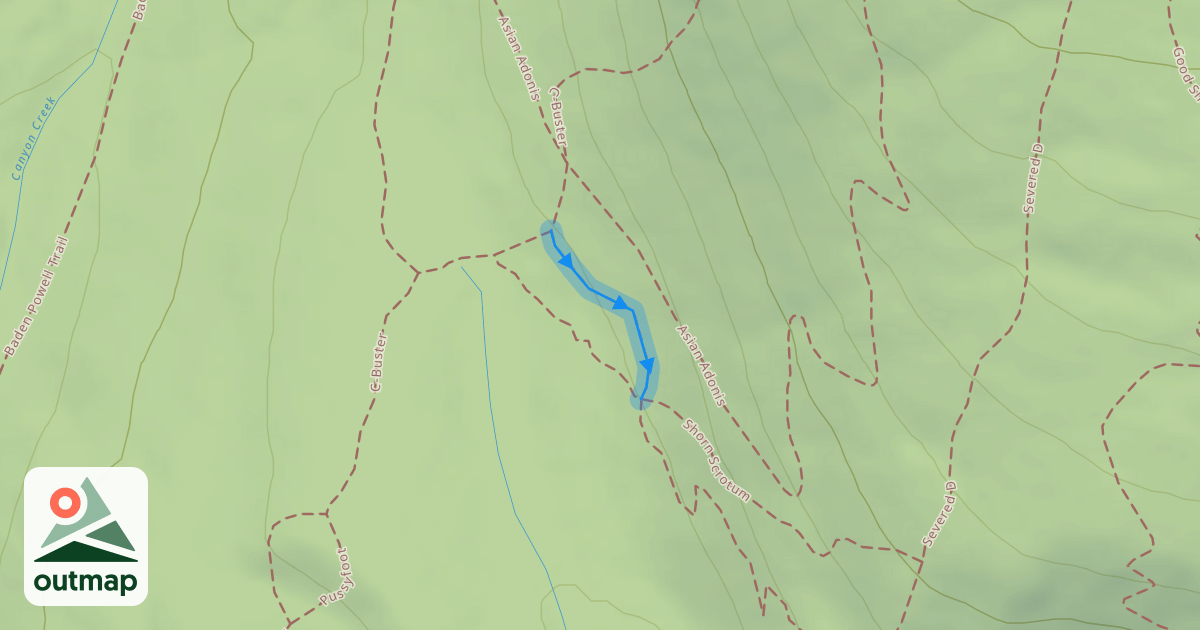 Map of Penny Lane