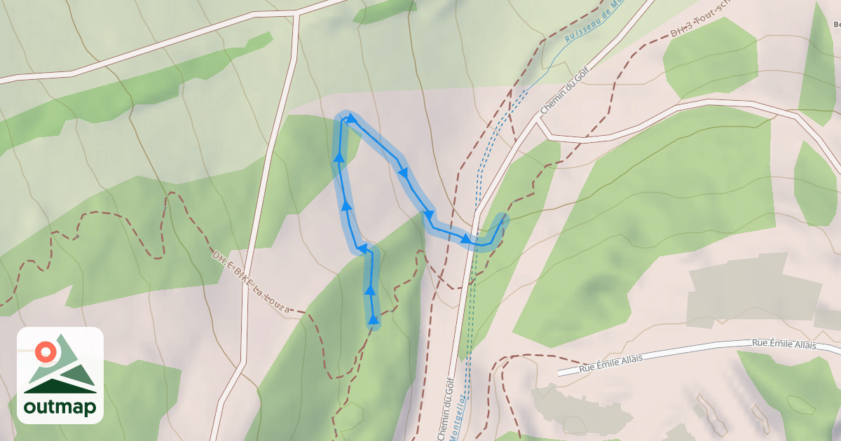 Map of DH.3 Tout-schuss