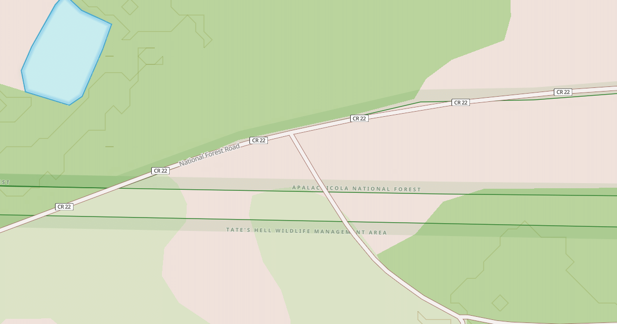 Map preview of USFS National Forest System Roads {157A9C39-CF8B-4002-9E4A-831C6675DBD8}