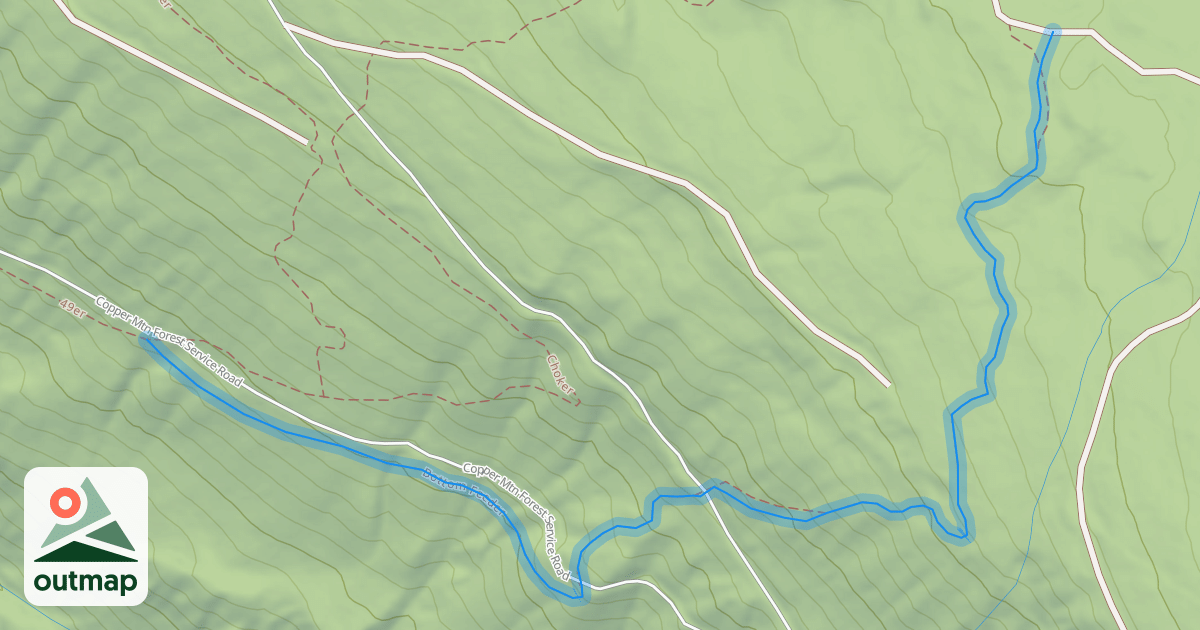 Map of Bottom Feeder