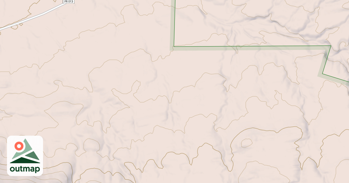 Map of USFS National Forest System Roads {61FE3388-F5BB-413E-9F24-DC8DC2028CC0}