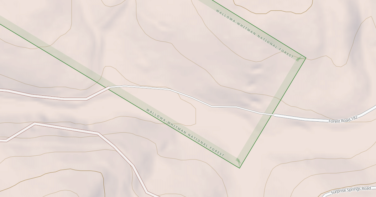 Map preview of USFS National Forest System Roads {1616A66D-37F2-4D17-BA31-96E65A8EF076}