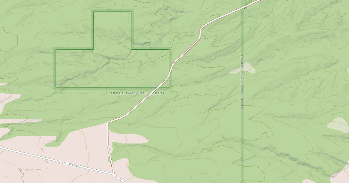 Map preview of USFS Motor Vehicle Use Map Roads {AB744ACD-8E76-4D48-BFAC-81578A8F7662}
