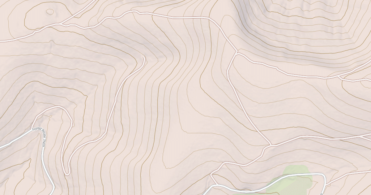 Map preview of USFS Motor Vehicle Use Map Roads {CC70B416-B6D1-41AC-90F2-1DE57E70174E}