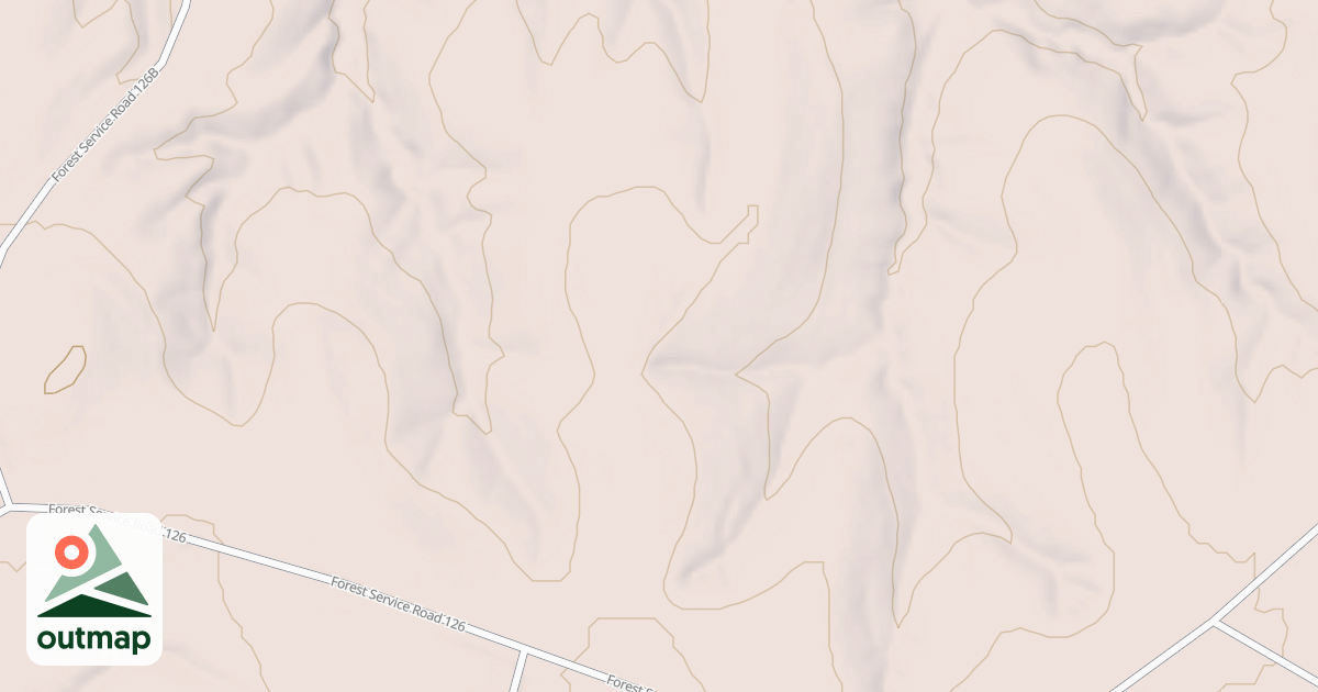 Map of USFS National Forest System Roads {658521D2-7C7F-4B29-9367-9D0C9898C41E}