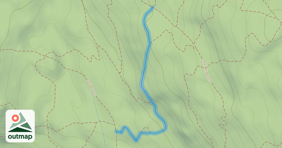 Map of Dark Forest