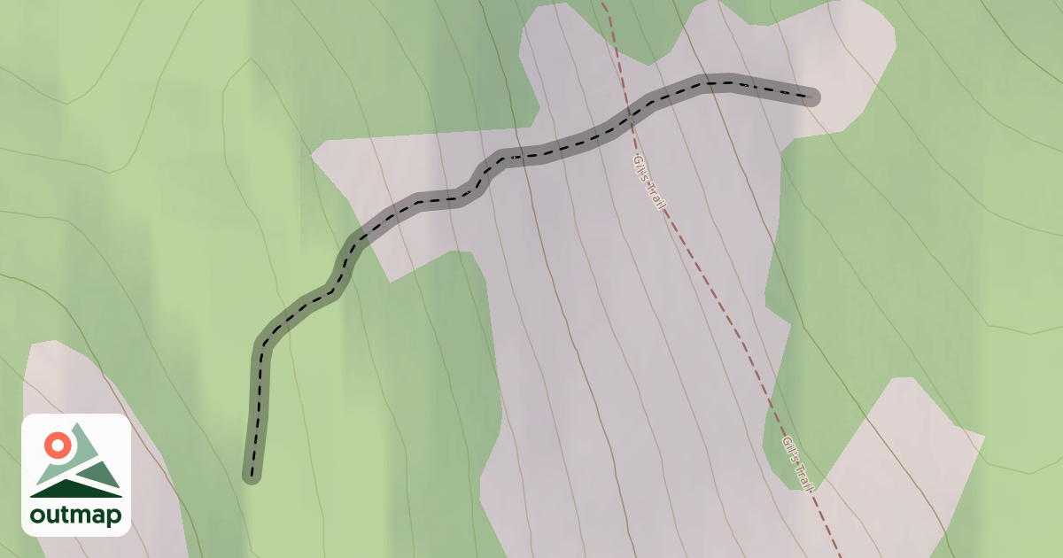 Map of Main Face