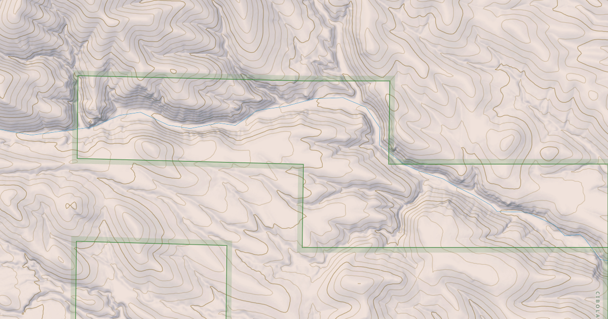 Map preview of USFS National Forest System Roads {6E5C19D5-9F4E-40DA-B462-CEBAC3E01553}