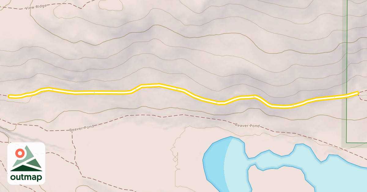 Map of Sunnyside