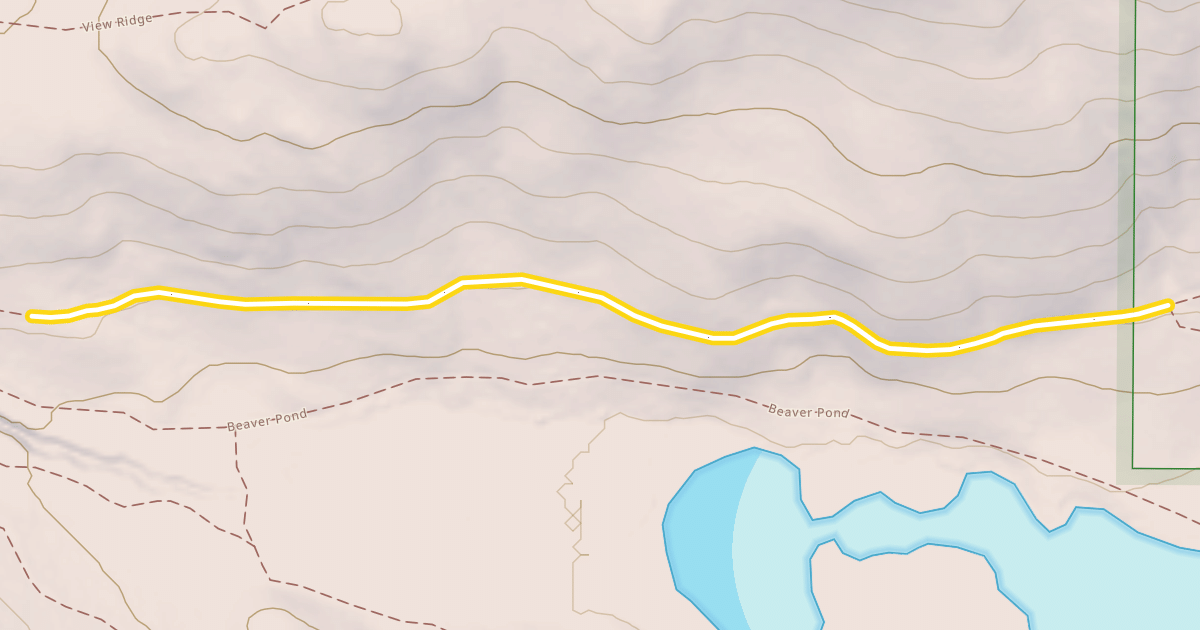 Map preview of Sunnyside