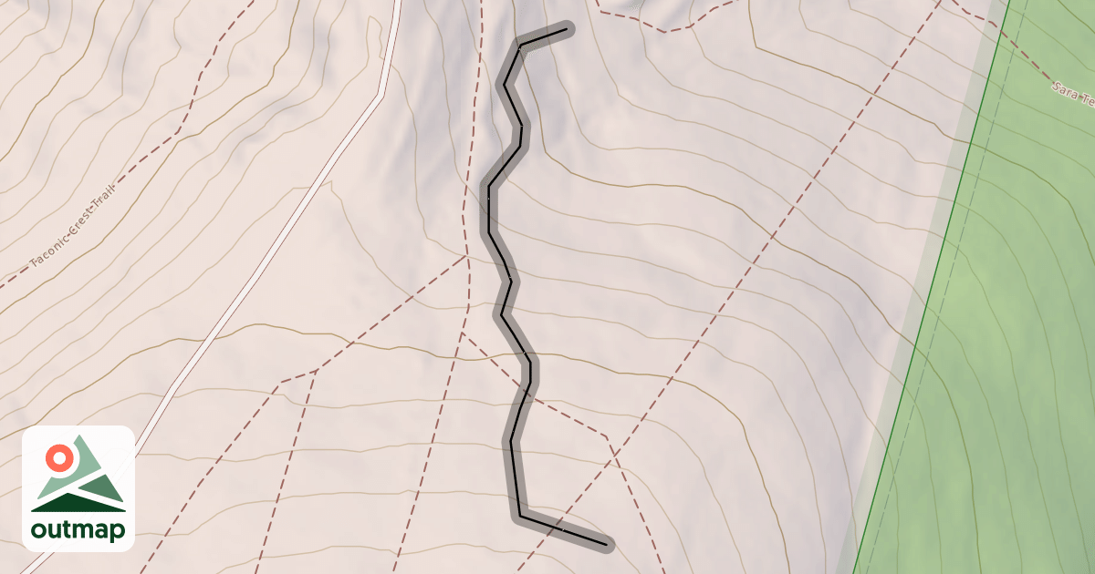 Map of Zoomer