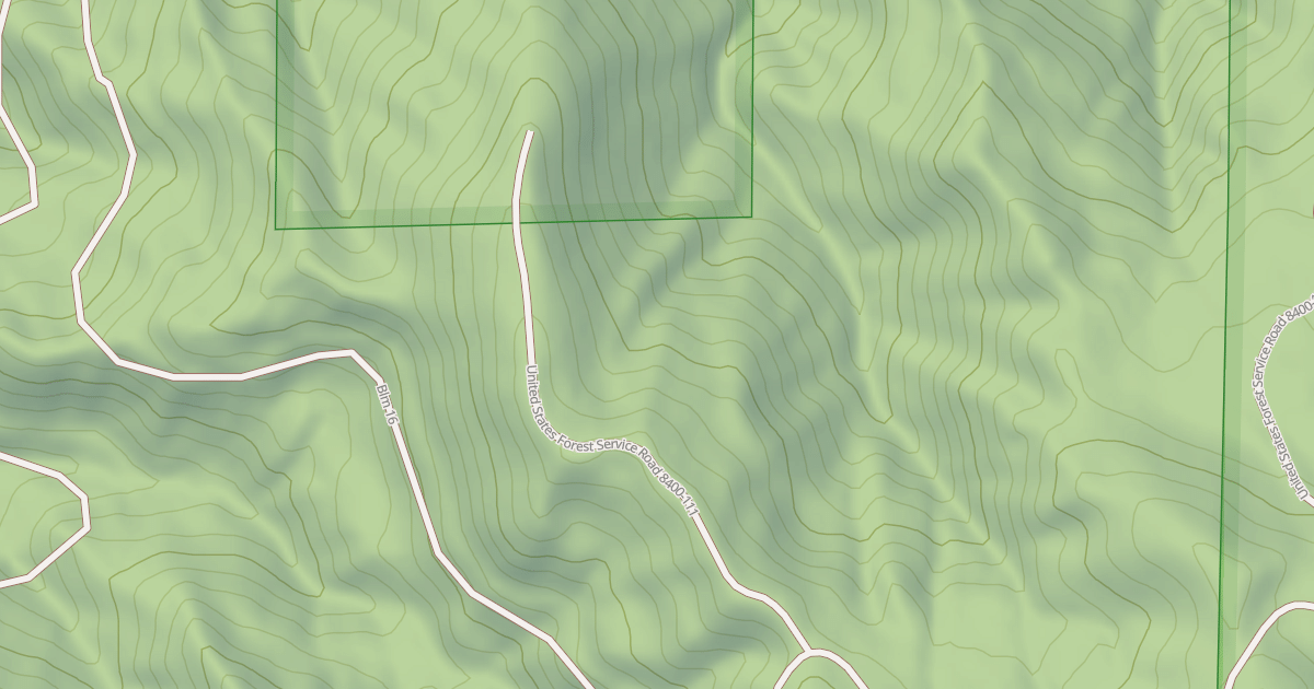 Map preview of USFS National Forest System Roads {12180AEF-FC14-44DA-A25C-F839E51E65F2}