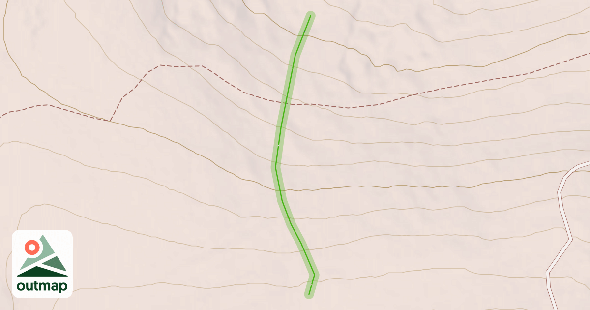 Map of Bliss