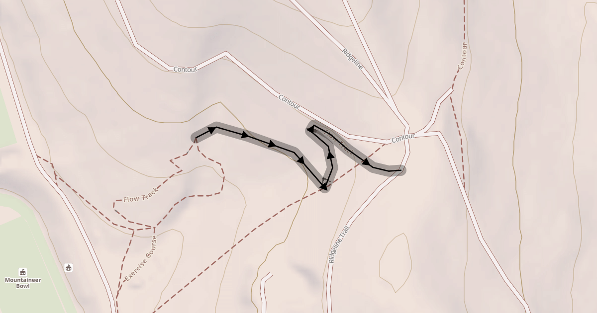 Map preview of Flow Track
