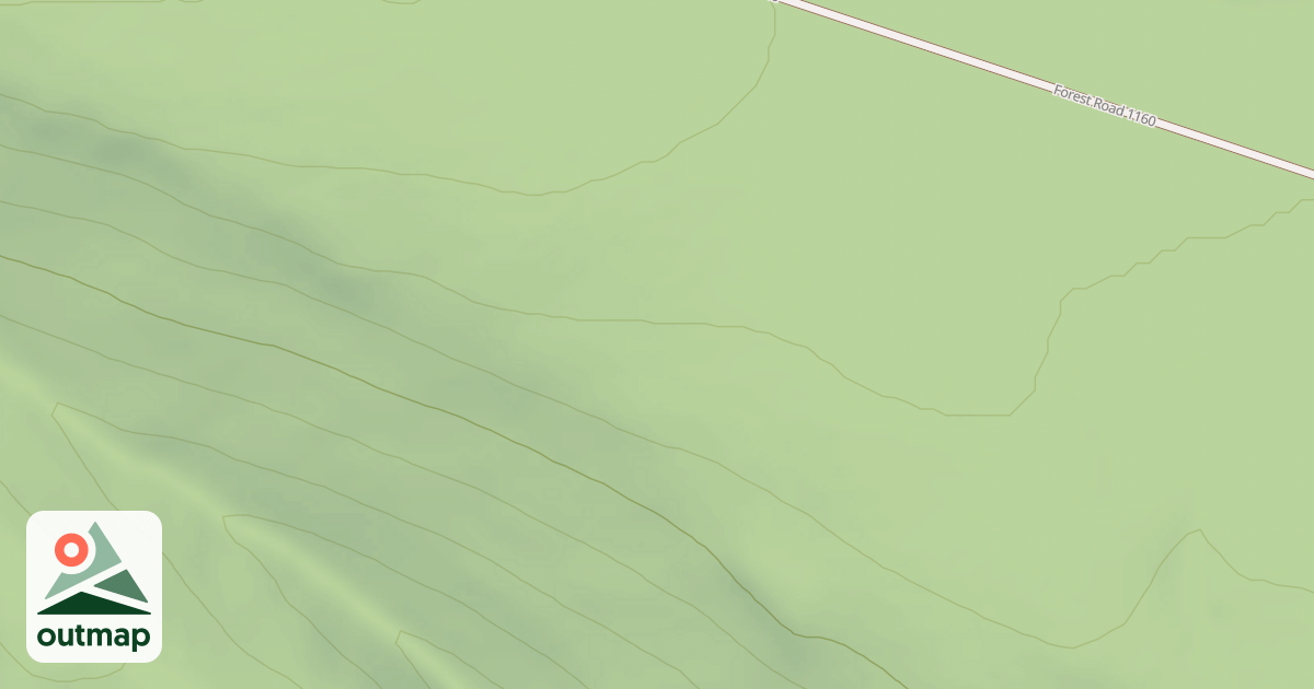 Map of USFS Motor Vehicle Use Map Roads {12BEAF86-9668-48C6-89B5-126ED9045D1A}