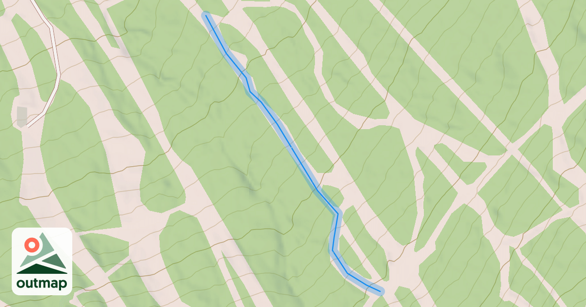 Map of Alley-Cat