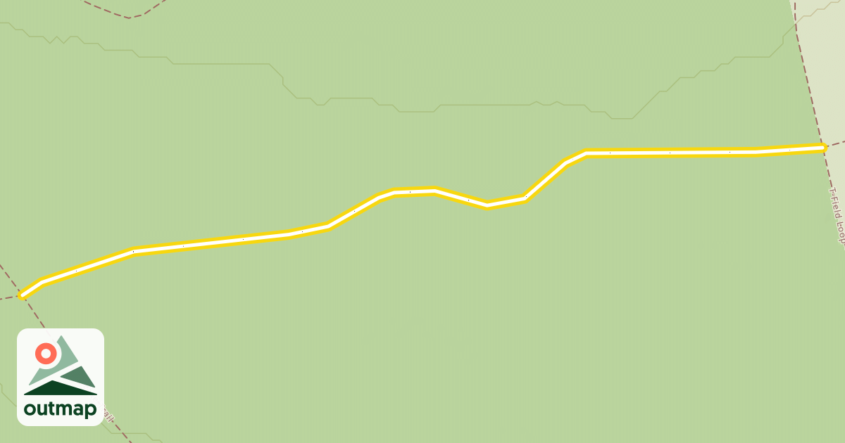Map of T-Field Classic