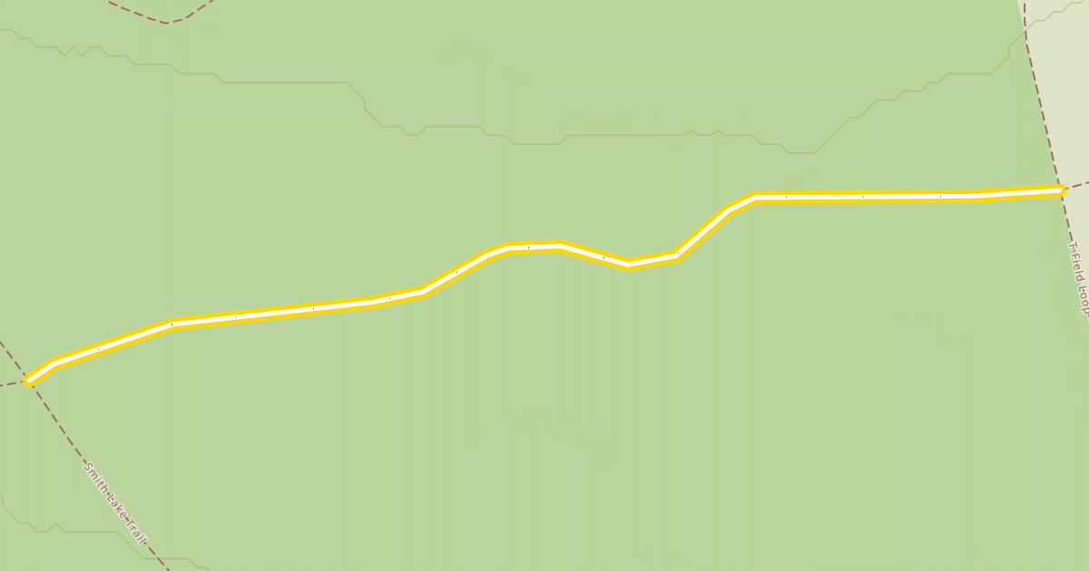 Map preview of T-Field Classic