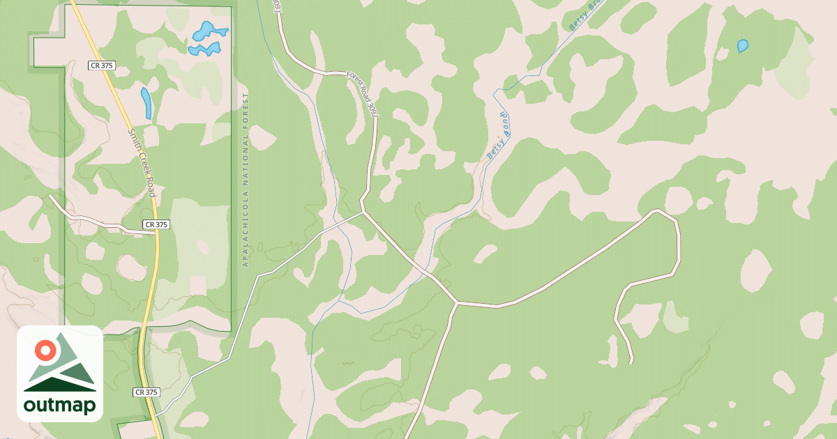 Map of USFS National Forest System Roads {98EFD1CD-F0CA-4564-A403-FA7FF38D681E}