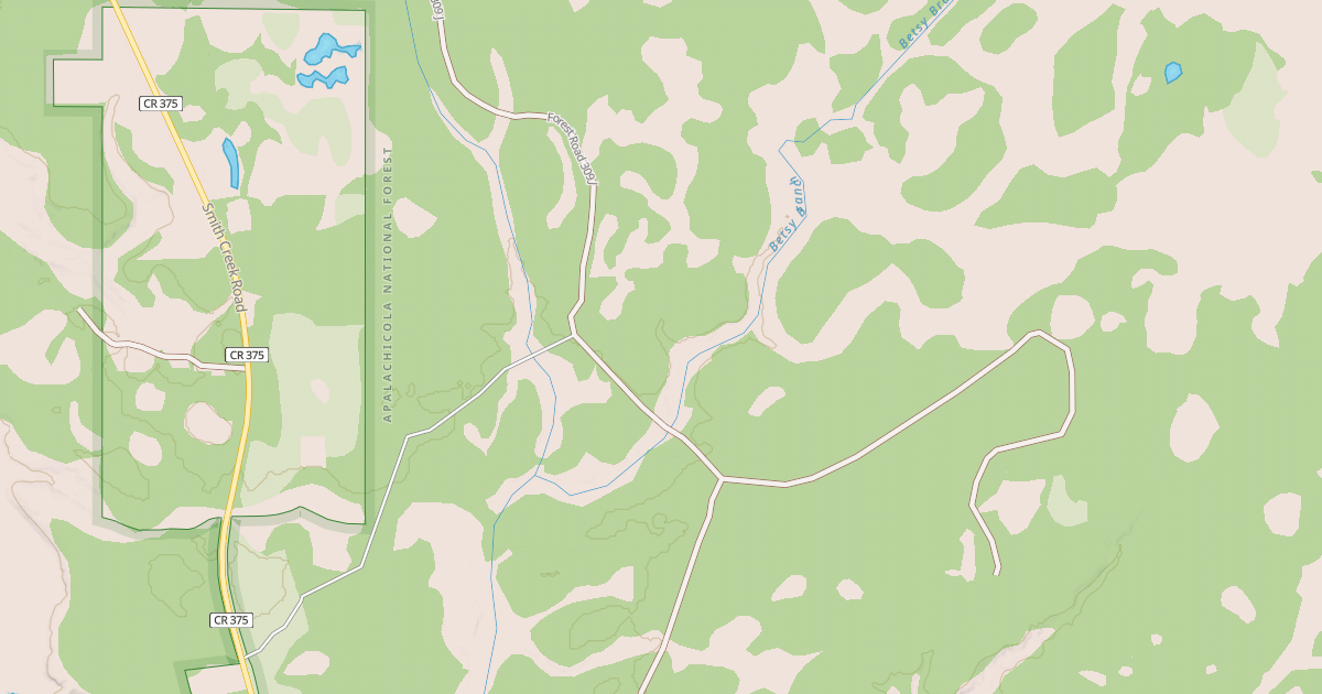 Map preview of USFS National Forest System Roads {98EFD1CD-F0CA-4564-A403-FA7FF38D681E}