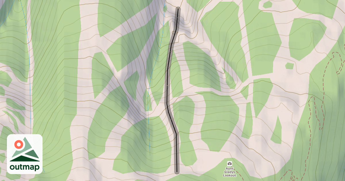 Map of Cat Man Do