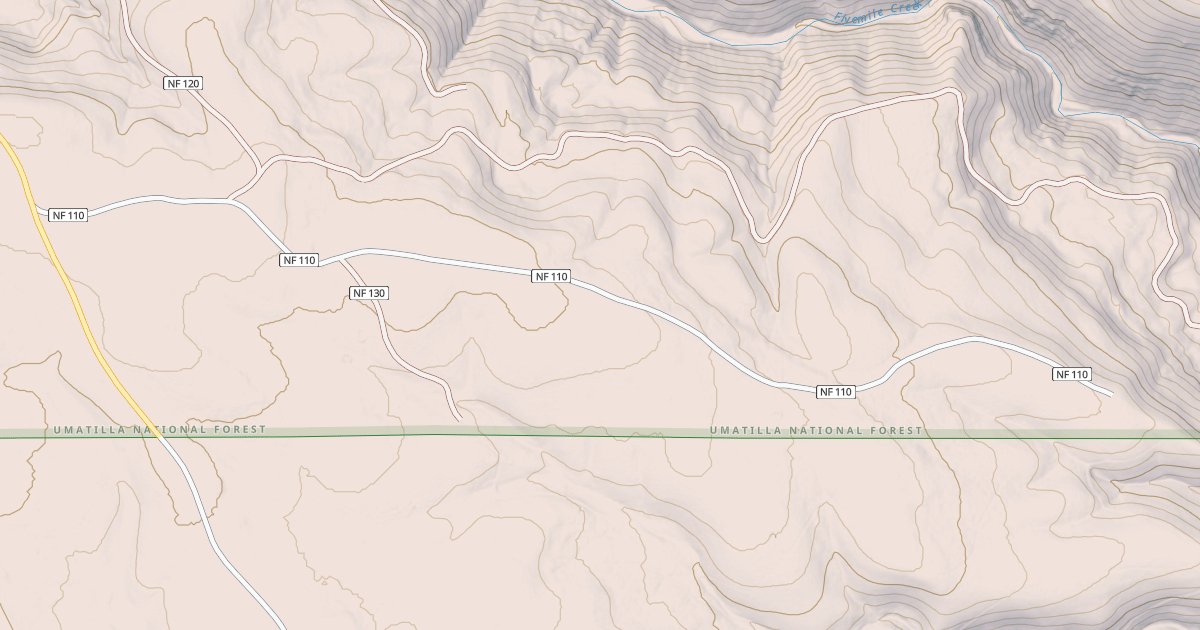 Map preview of USFS Motor Vehicle Use Map Roads {A0BFE05C-335F-4042-A814-F98B52178B75}