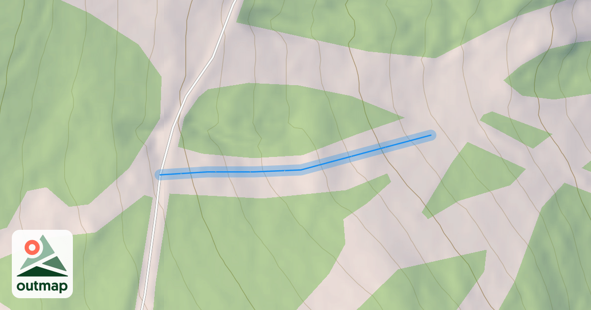 Map of Shorty