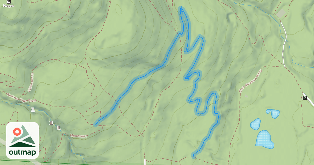 Map of Wolf Tree