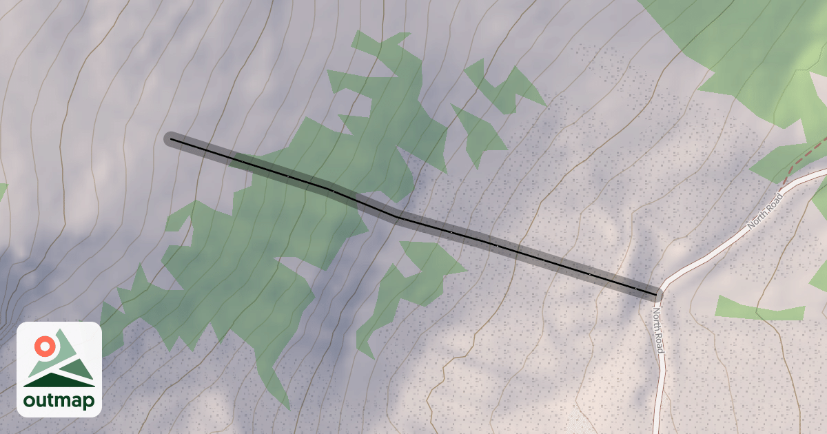 Map of Little Tree