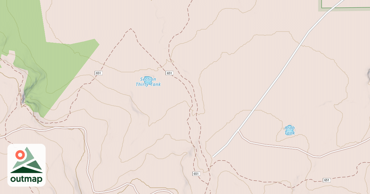 Map of USFS National Forest System Roads {ADB896C8-FD29-467C-A5B4-CB2488E58521}