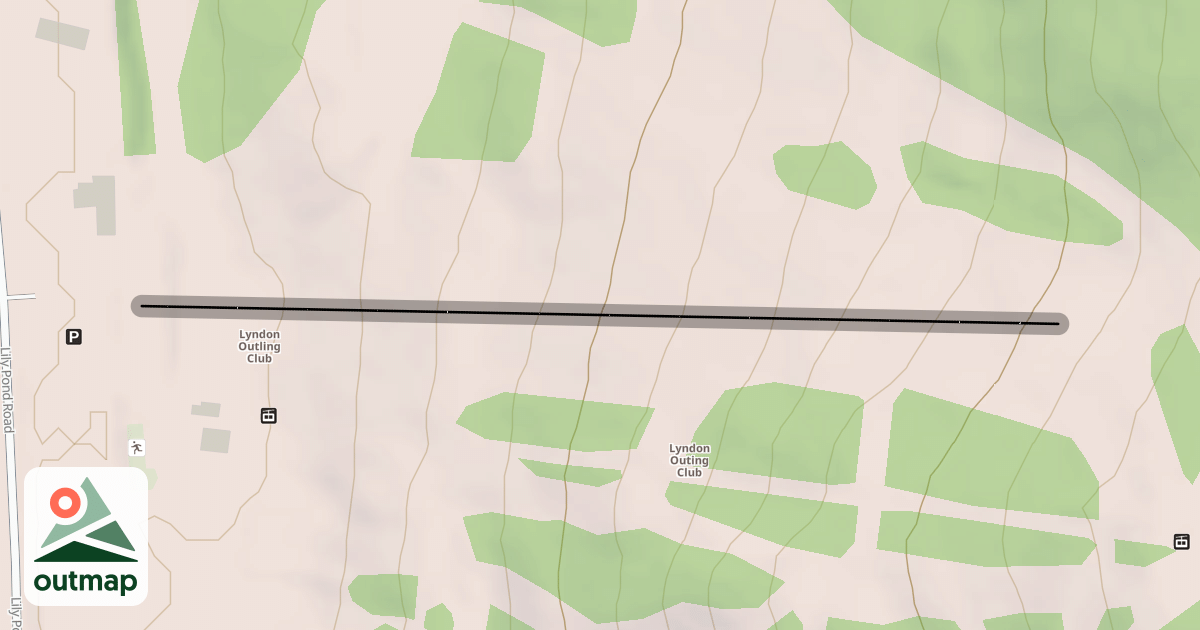 Map of The Face