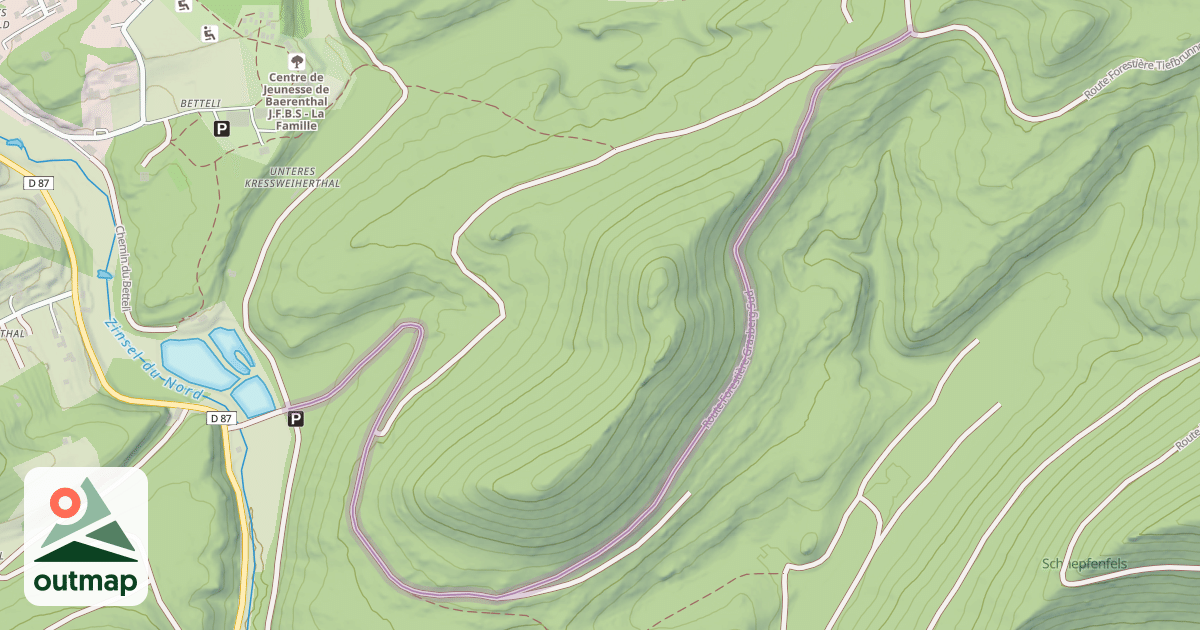 Map of Route Forestière Grasberg Sud