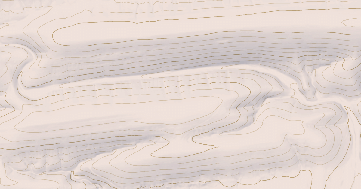 Map preview of TYLER BRANCH