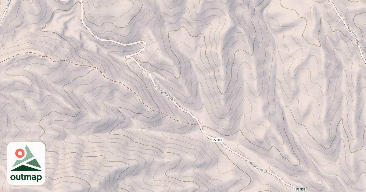 Map of Danskin #503