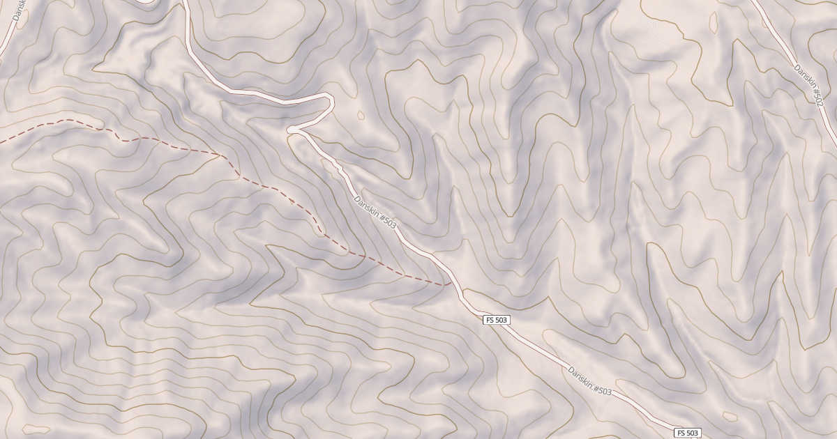 Map preview of Danskin #503
