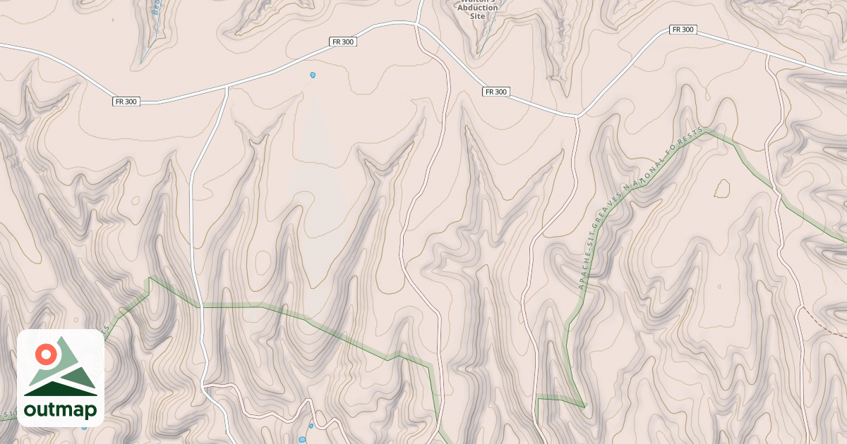 Map of USFS National Forest System Roads {6C809A06-35AE-4493-BA2D-1EB787A03120}