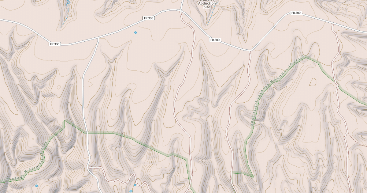 Map preview of USFS National Forest System Roads {6C809A06-35AE-4493-BA2D-1EB787A03120}
