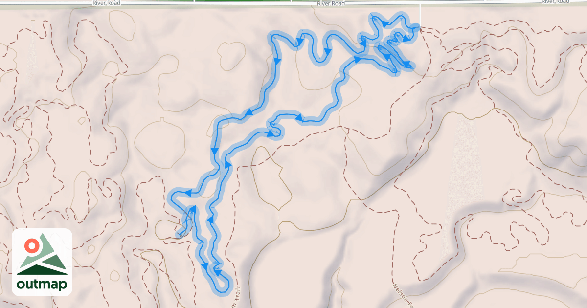 Map of Timberdoodle