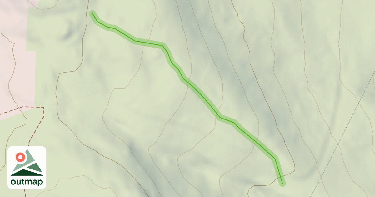 Map of Paradise