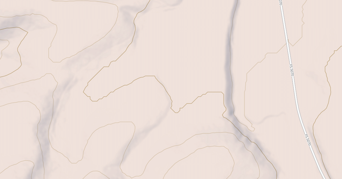 Map preview of USFS National Forest System Roads {FCD1E4D7-011A-4910-A497-9CC65C3C8ED6}